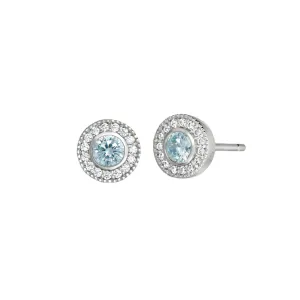 Birth Gems Aquamarine Earrings