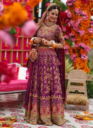 Natasha Aubergine Lehnga Choli