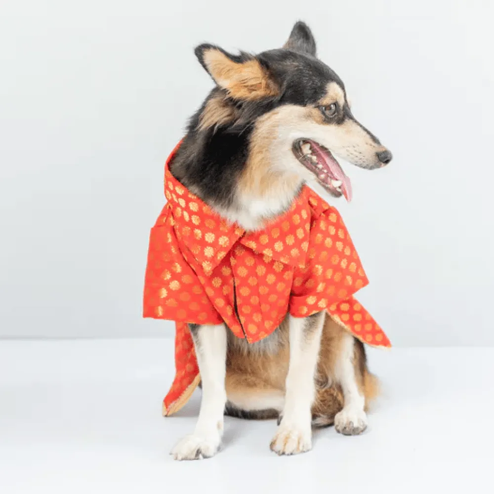 Pawgypets Occasion Wear Dress for Dogs and Cats (Red)