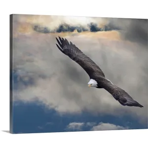 "an eagle in flight rising above the storm" Canvas Wall Art