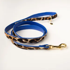 Willow Walks double sided soft leather lead in leo and cobalt blue