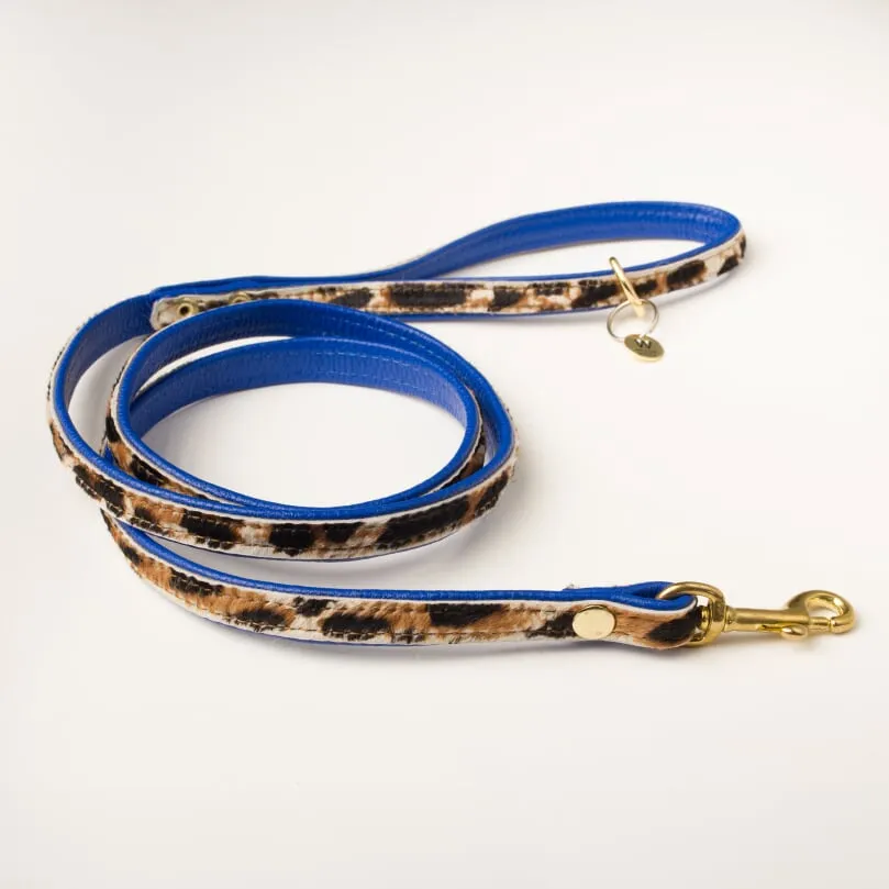 Willow Walks double sided soft leather lead in leo and cobalt blue